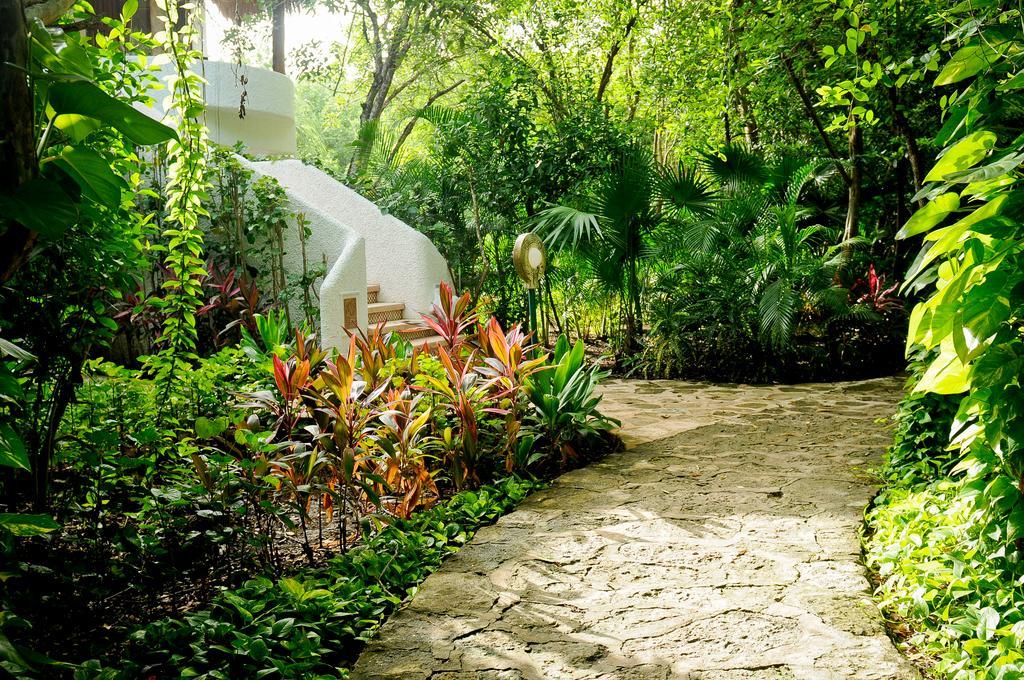Amarte Maroma Hotel Eco Boutique Spa Punta Maroma Dış mekan fotoğraf