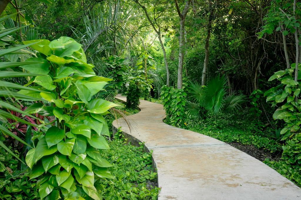 Amarte Maroma Hotel Eco Boutique Spa Punta Maroma Dış mekan fotoğraf