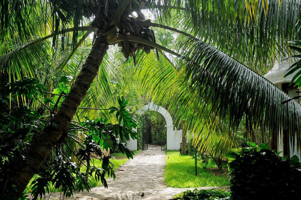 Amarte Maroma Hotel Eco Boutique Spa Punta Maroma Dış mekan fotoğraf