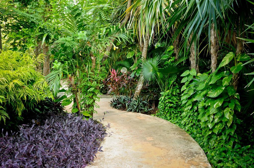 Amarte Maroma Hotel Eco Boutique Spa Punta Maroma Dış mekan fotoğraf