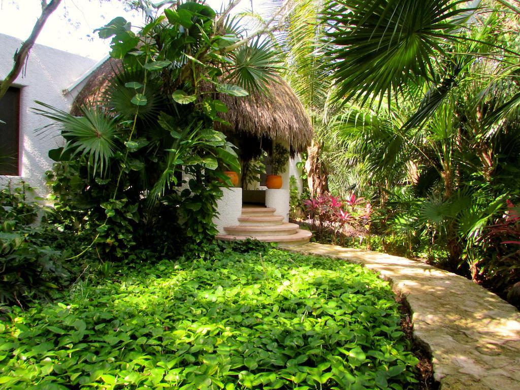 Amarte Maroma Hotel Eco Boutique Spa Punta Maroma Dış mekan fotoğraf