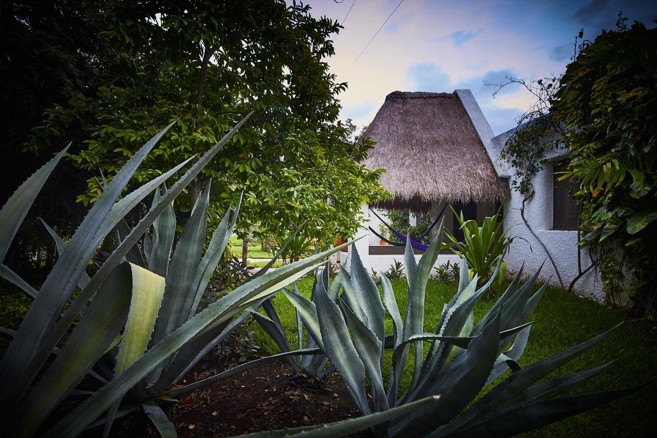 Amarte Maroma Hotel Eco Boutique Spa Punta Maroma Dış mekan fotoğraf