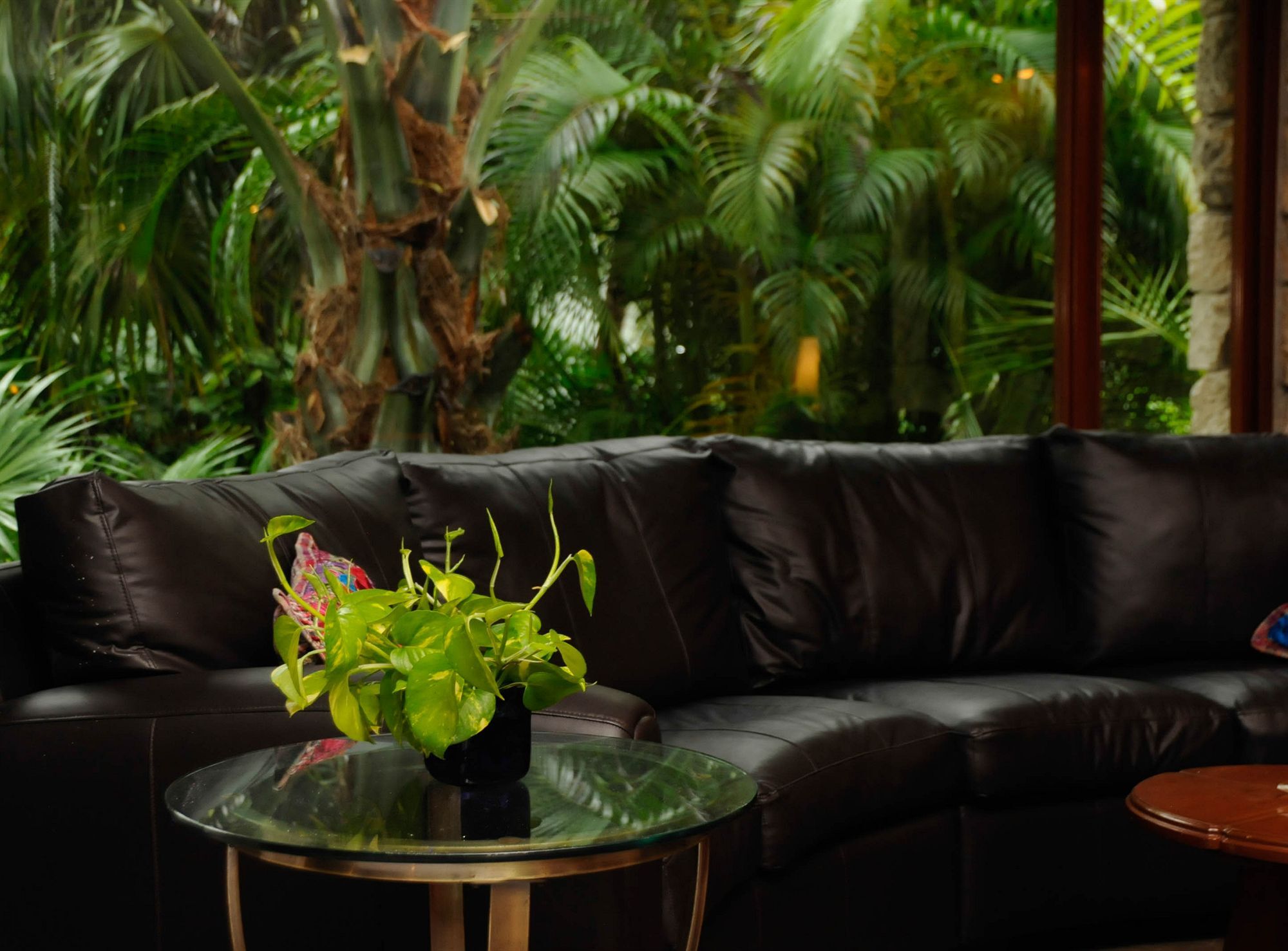 Amarte Maroma Hotel Eco Boutique Spa Punta Maroma Dış mekan fotoğraf